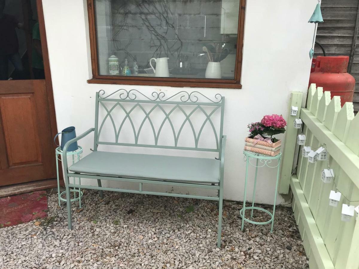 Higher Primrose Cottage Winkleigh Εξωτερικό φωτογραφία